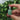 Pingente Difusor de Quartzo Verde Pingentes com Pedras Comprar na Loja WeMystic