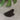 Gua Sha de Obsidiana Massageador Facial Comprar na Loja WeMystic