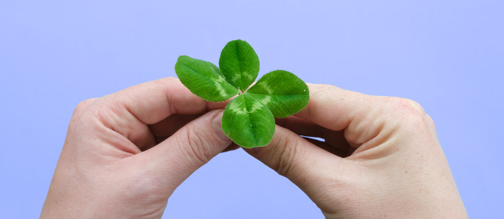 Não se nasce com sorte, atrai-se a sorte! – Loja WeMystic