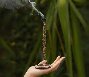 Incensos Naturais: Melhores Ervas para Elevar a Espiritualidade