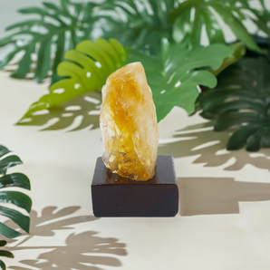 Presentes para Virginianos: Citrino Bruto