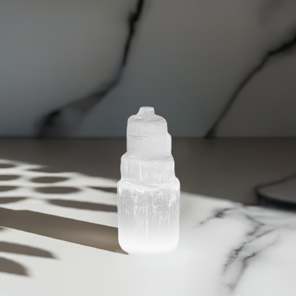 Presentes para Leoninos: Torre de Selenita