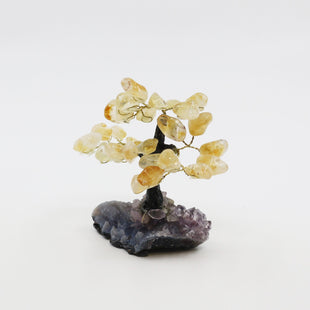 Presentes para Virginianos: Árvore da Felicidade de Citrino